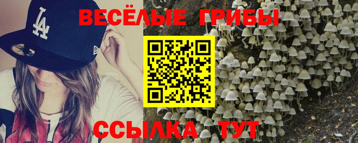 магазин    Вход с VPN  Конаково  Псилоцибиновые грибы GOLDEN TEACHER 